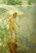 Anders Zorn reflexer USA oil painting artist
